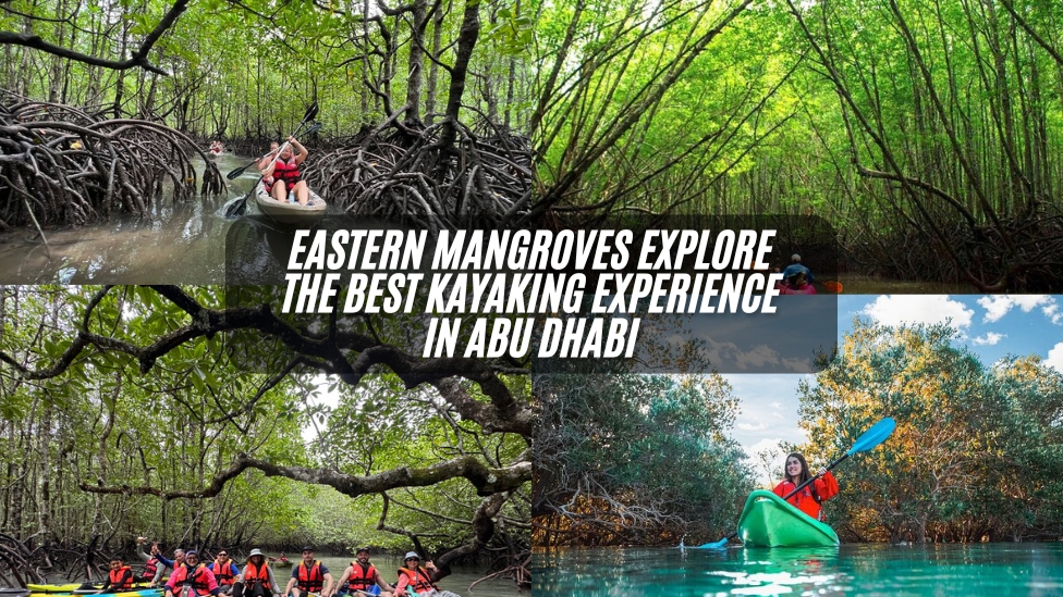 Mangrove Kayaking