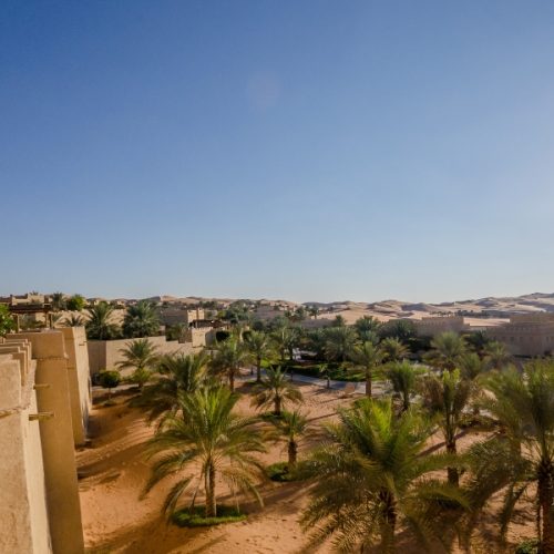 Liwa Oasis Tour
