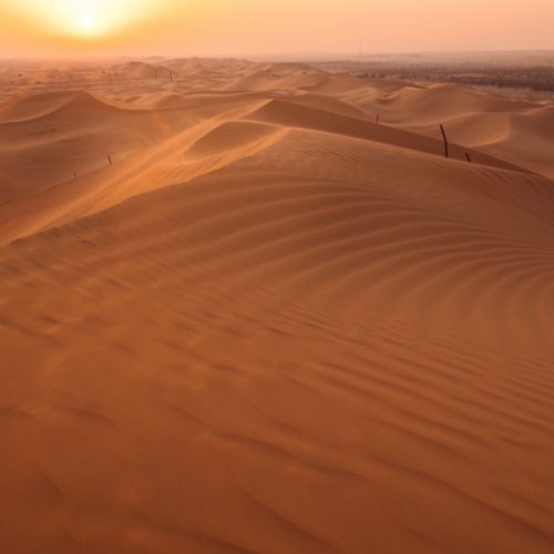 Liwa Desert Safari