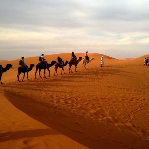 Evening Desert Safari Abu Dhabi